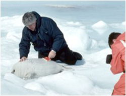 Paul Watson 1994